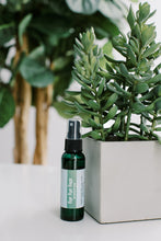 Load image into Gallery viewer, Bug Repellant Spray