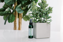 Load image into Gallery viewer, Bug Repellant Spray