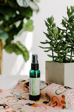 Load image into Gallery viewer, Gentle Surface Cleaning Spray